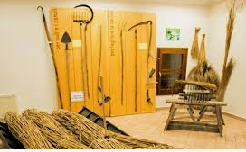 Museo 3